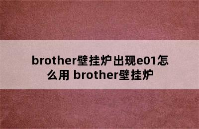 brother壁挂炉出现e01怎么用 brother壁挂炉